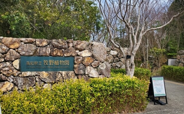 高知県立牧野植物園（高知市）