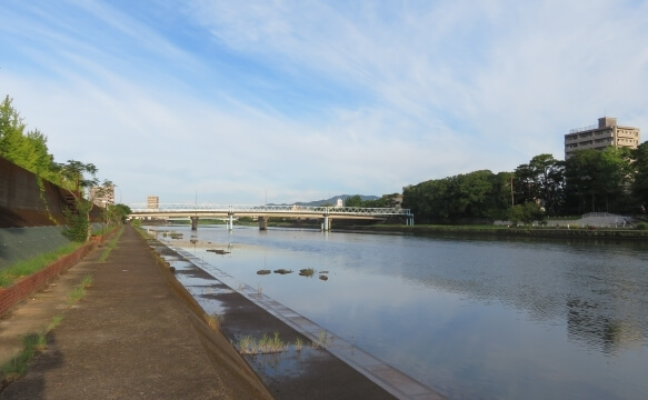 鏡川河畔（高知市）